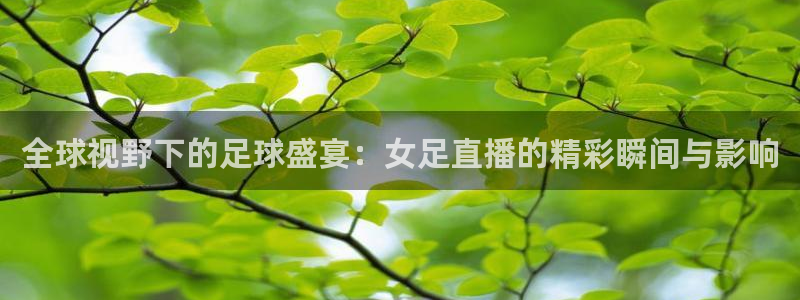 cba直播看球吧：全球视野下的足球盛宴：女足直播的精彩瞬间与影响