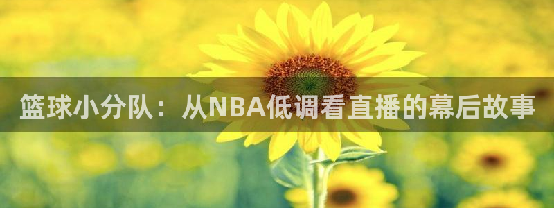 篮球比赛直播在线观看球吧网：篮球小分队：从NBA低调看直播的幕后故事