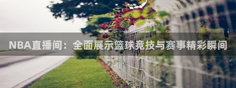 看球吧直播在线入口：NBA直播间：全面展示篮球竞技与赛事精彩瞬间