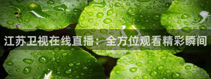 看球吧 直播：江苏卫视在线直播：全方位观看精彩瞬间