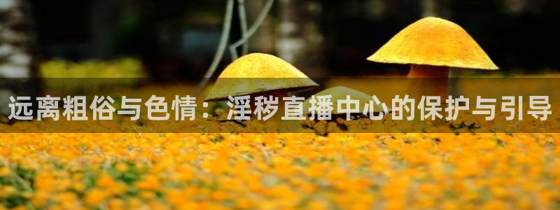 看球吧直播：远离粗俗与色情：淫秽直播中心的保护与引导