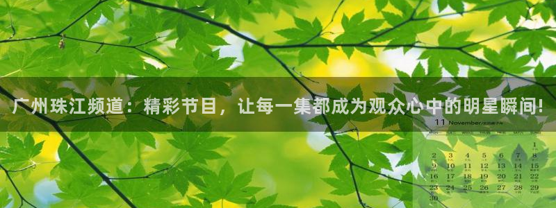 看球吧直播下载：广州珠江频道：精彩节目，让每一集都成为观众心中的明星瞬间!