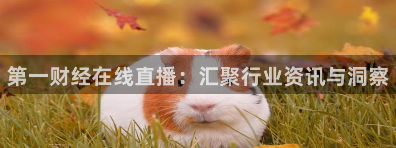 nba在线直播观看直播看球吧：第一财经在线直播：汇聚行业资讯与洞察