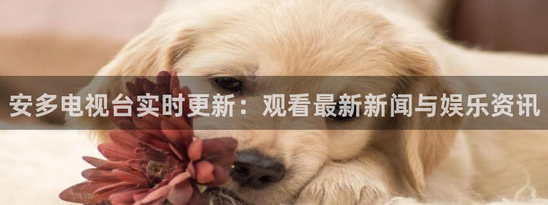 nba在线直播观看直播看球吧：安多电视台实时更新：观看最新新闻与娱乐资讯