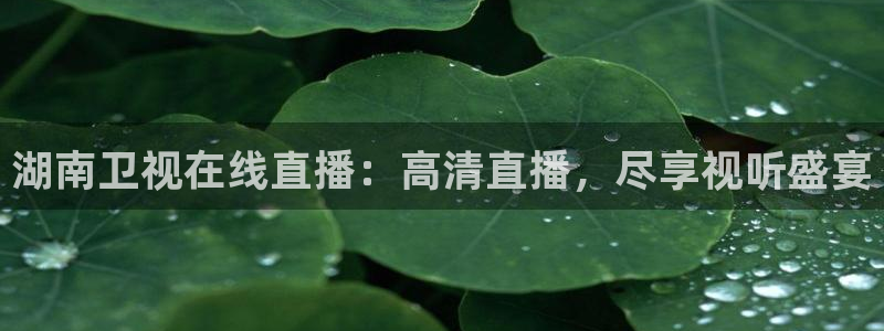 nba无插件直播看球吧：湖南卫视在线直播：高清直播，尽享视听盛宴