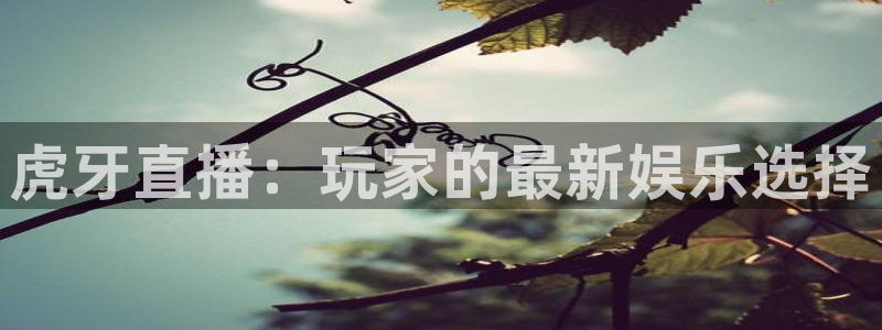 看球吧直播在线入口：虎牙直播：玩家的最新娱乐选择