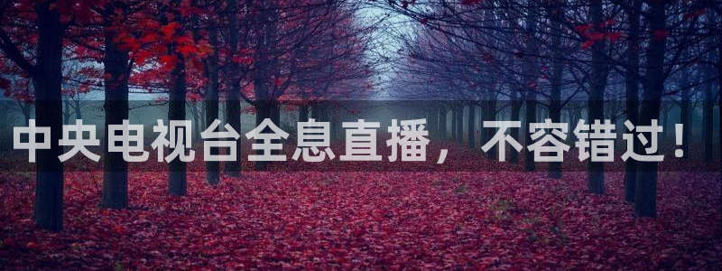 看球吧nba在线高清免费直播：中央电视台全息直播，不容错过！